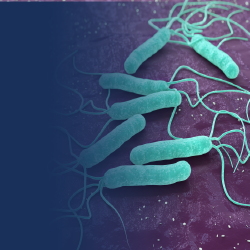 H. Pylori infection