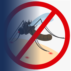 Malaria Elimination