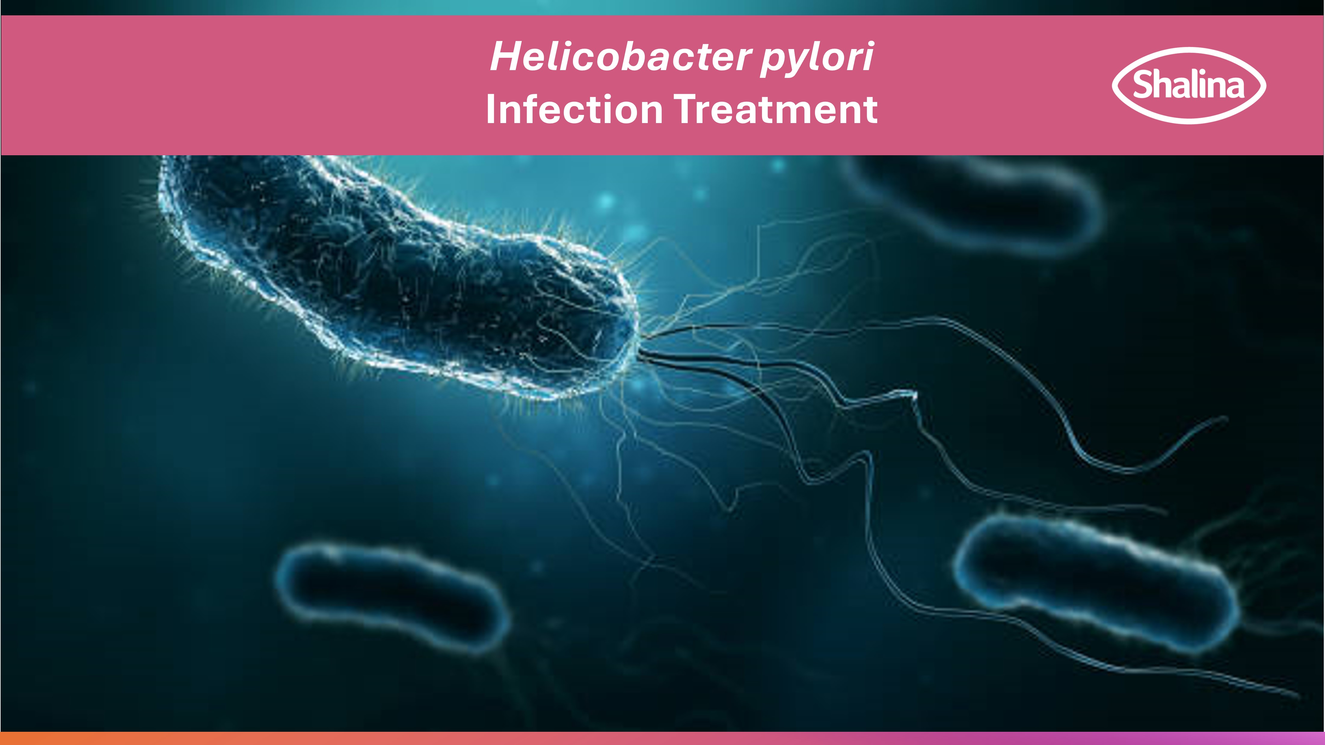 H pylori_mobile