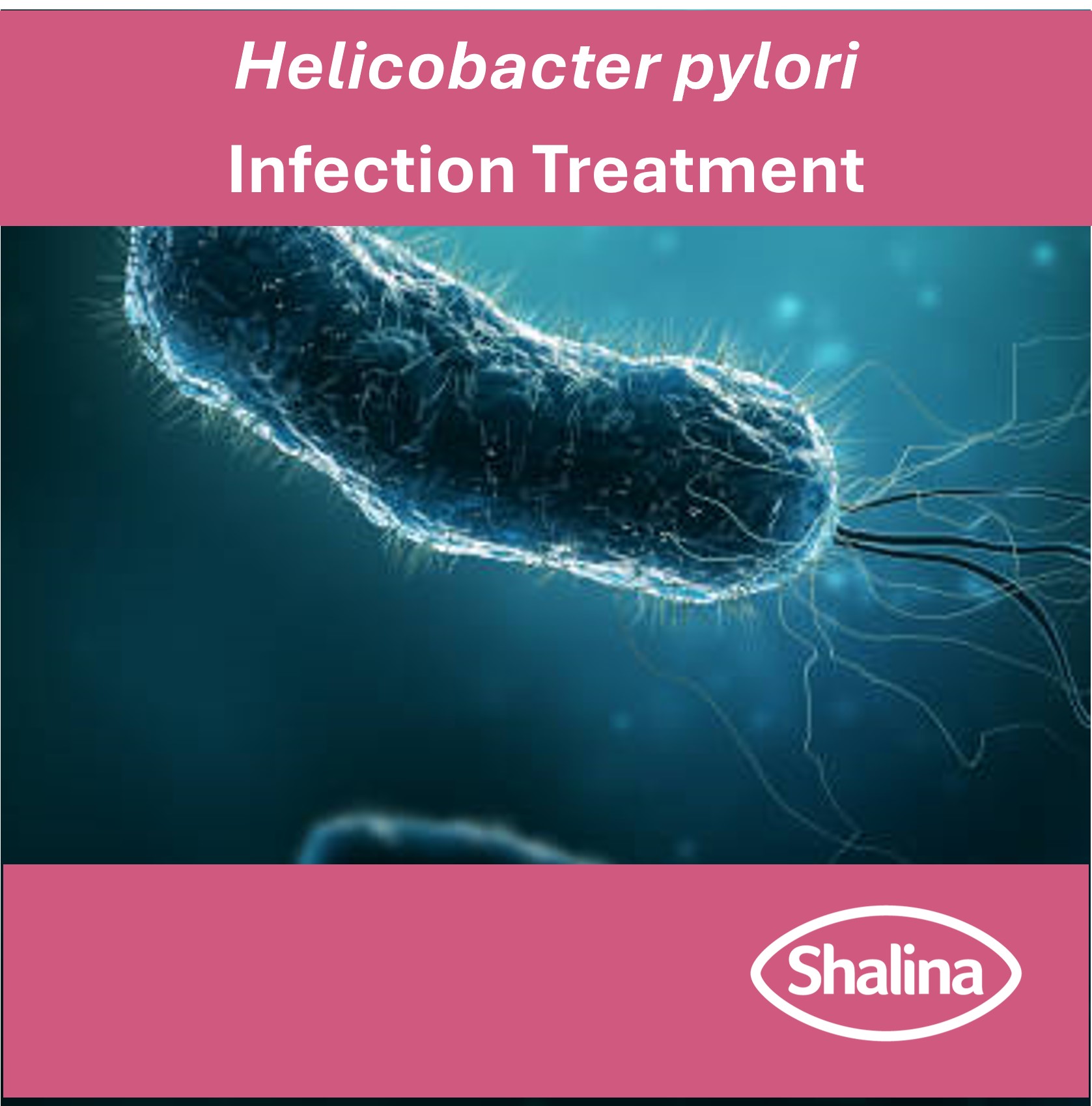 H pylori_thumbnail