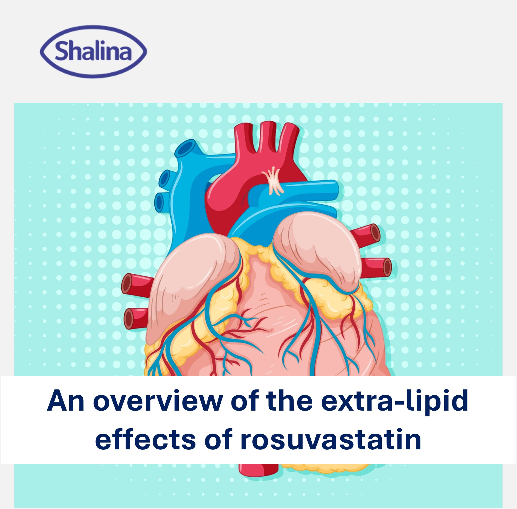 an overview_thumbnail