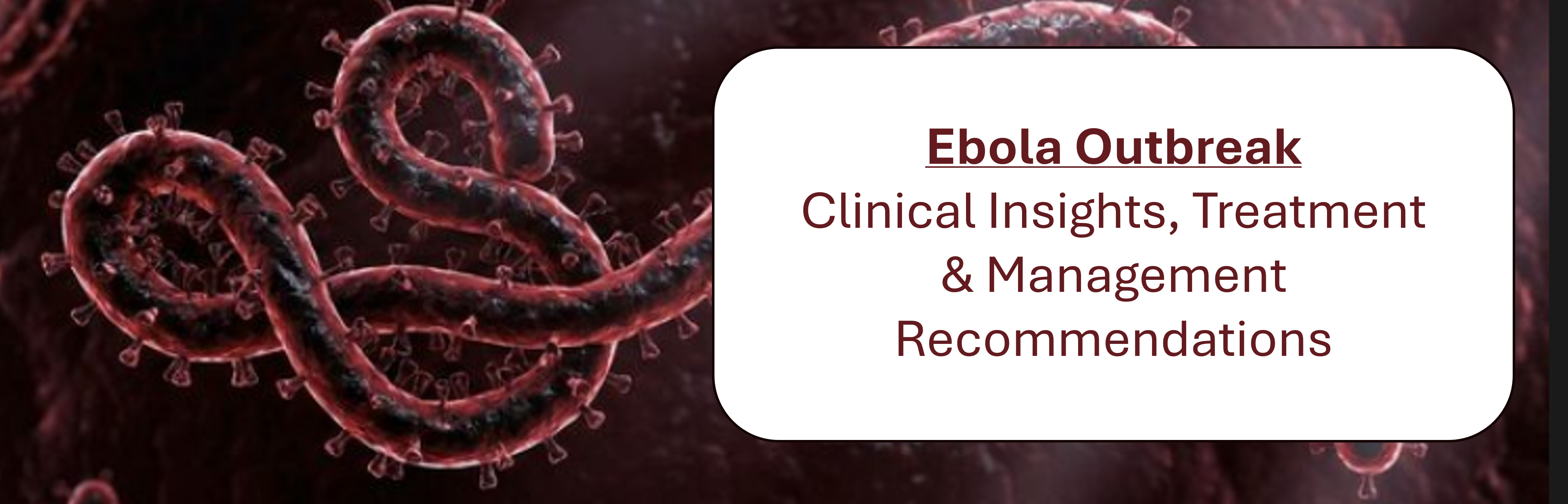 Ebola_web img